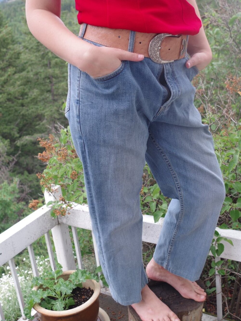 Vintage Denver Hayes Classic Jeans